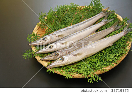 卡馬斯3尾巴 35719575