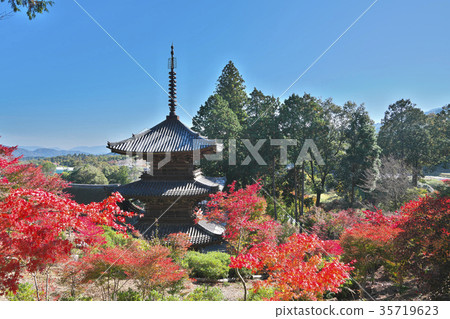 Autumn leaves of Konan Jorakuji 35719623