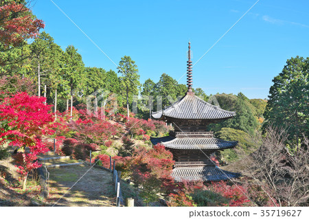Konan Jorakuji秋葉 Konan Jorakuji秋葉 35719627