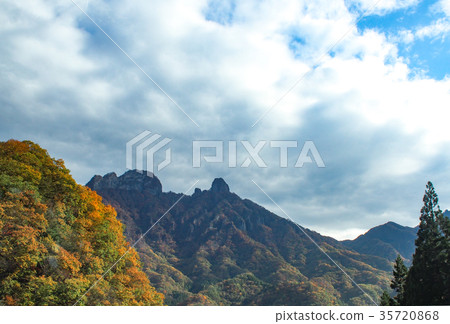 秋山 35720868