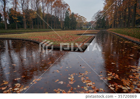 Autumnal Western Garden 35720869