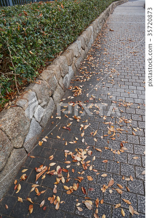 Dead footpath 35720873