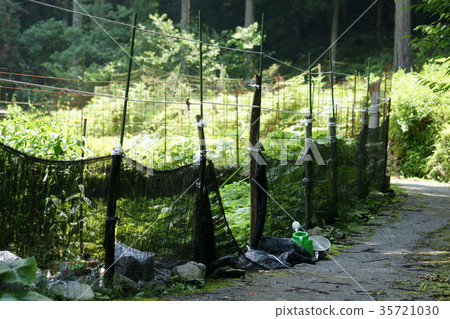 Itaihara Village 35721030