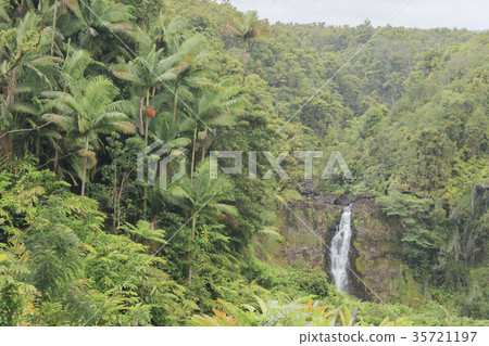 Akaka Falls 35721197