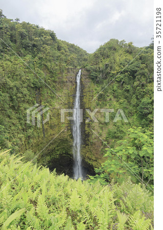 Akaka Falls 35721198