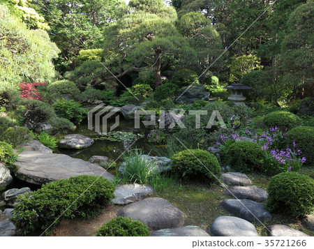 Katsushika-ku Yamamoto Pass (main garden) of spring with beautiful fresh green 35721266