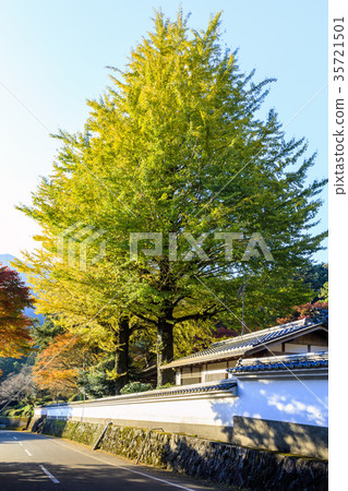 Raiyama Chitose Temple Ohashi Ouen的秋葉 35721501