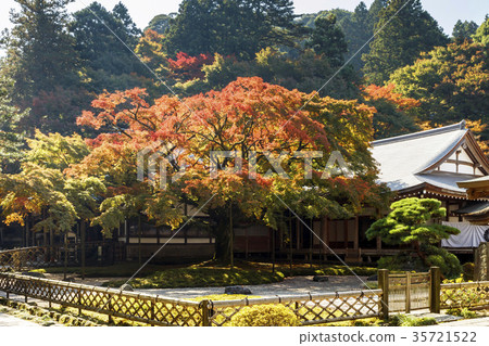 Raiyama Chitose Temple Ohashi Ouen的秋葉 35721522