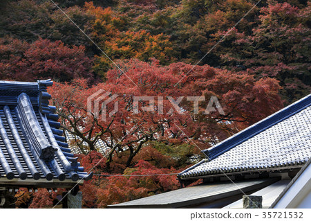 Raiyama Chitose Temple Ohashi Ouen的秋葉 35721532