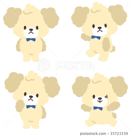 狗/玩具貴賓犬(白色) 狗/玩具貴賓犬(白色) 35721539
