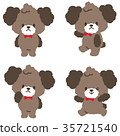 Dog / Toy Poodle (Brown) 35721540