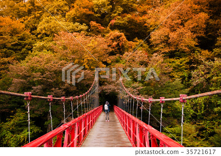 Red bridge, Dakigaeri Valley Senboku, Akita, Japan Red bridge, Dakigaeri Valley Senboku, Akita, Japan 35721617