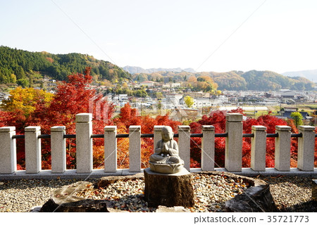 Eigenji Temple Maple 35721773