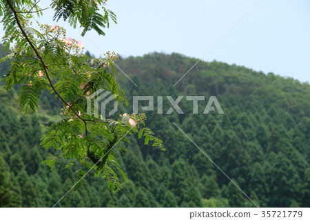 Akabane of the Akabane River Akabane of the Akabane River 35721779