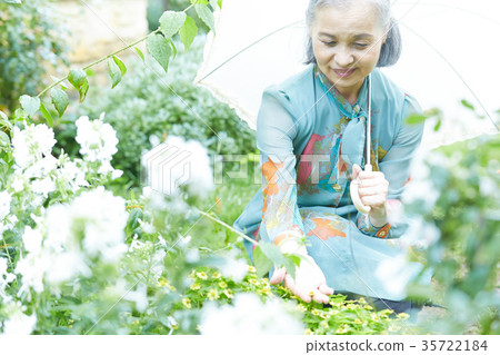 Senior Woman Holding A Parasol In The Garden Stock Photo