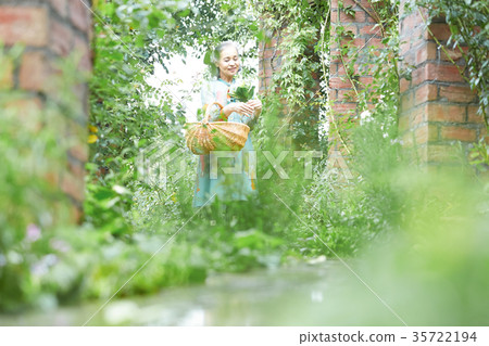 Senior lady picking flowers in the garden Senior lady picking flowers in the garden 35722194