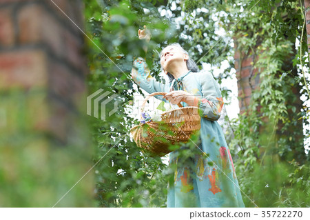 Senior lady picking flowers in the garden 35722270