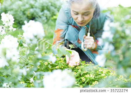 Senior Woman Holding A Parasol In The Garden Stock Photo