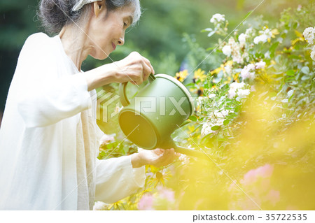 Senior woman watering 35722535