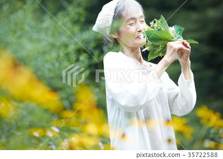 Senior woman smelling the smell of flowers 35722588
