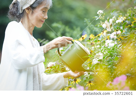 Senior woman watering Senior woman watering 35722601