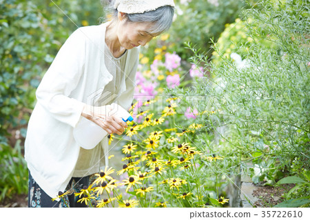 Senior woman watering 35722610