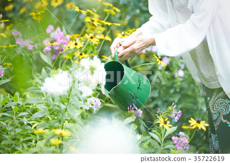 Senior woman watering 35722619