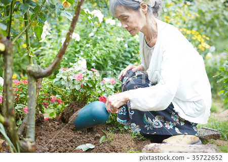 Senior women who do gardening Senior women who do gardening 35722652
