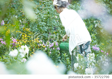 Senior woman watering Senior woman watering 35722700
