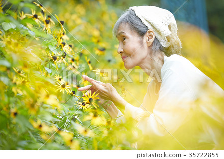 Senior lady picking flowers in the garden Senior lady picking flowers in the garden 35722855