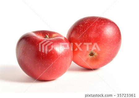 Apple(Shinanohoppe) Apple(Shinanohoppe) 35723361
