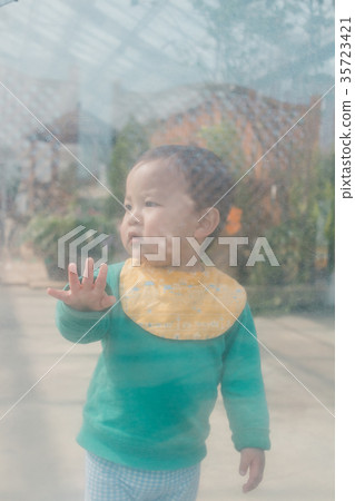 1 year old, little child, toddler 35723421