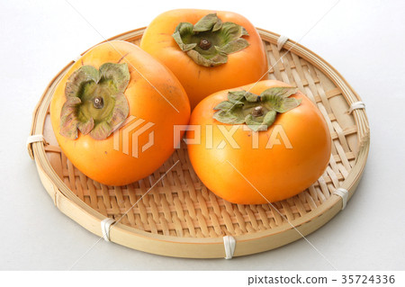 Shonai persimmon 35724336