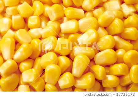 corn  35725178