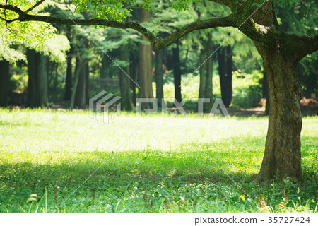 Senri Chuo Park 35727424