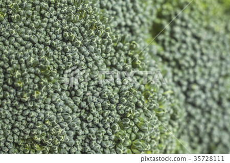 Closeup macro at broccoli texture. 35728111