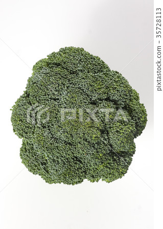 Fresh single ripe broccoli isolated on white Fresh single ripe broccoli isolated on white 35728113