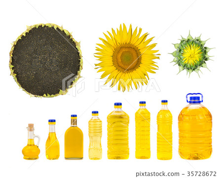 sunflower 35728672