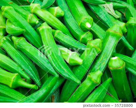The fresh okra or ladyfinger. 35728800