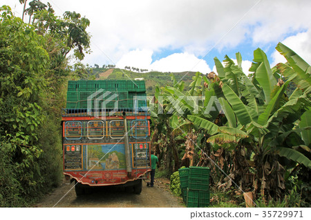 Loading truck with bananas for transporting, near 35729971