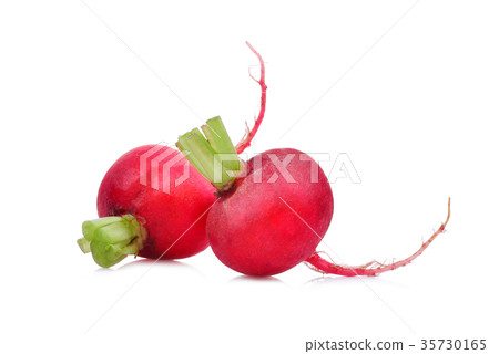 two small red garden radish with root isolated two small red garden radish with root isolated 35730165