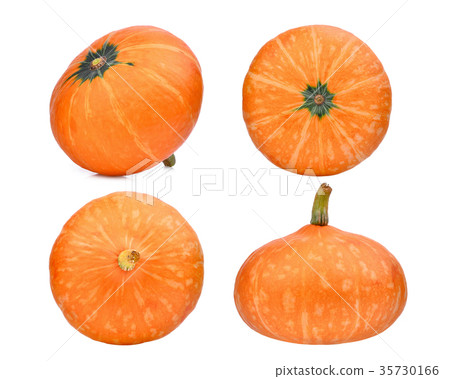 set of pumpkin isolated on white background set of pumpkin isolated on white background 35730166