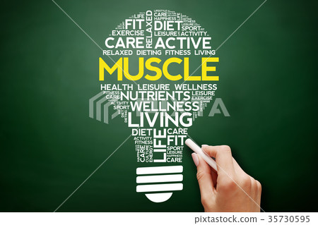 MUSCLE bulb word cloud 35730595