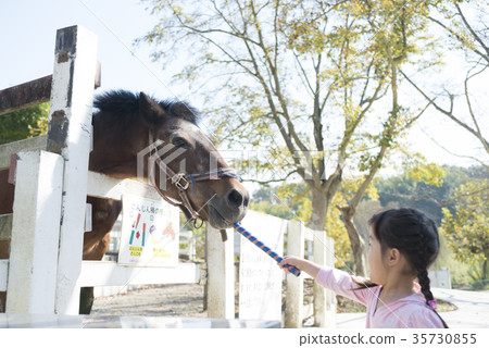 餵馬的女孩 餵馬的女孩 35730855