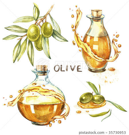 Set A branch of ripe green olives is juicy poured 35730953