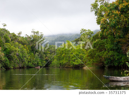 Masoala National Park landscape, Madagascar 35731375