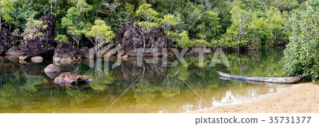 Masoala National Park landscape, Madagascar 35731377