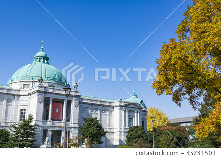 Ueno Park yellow leaves and museum Ueno Park yellow leaves and museum 35731501