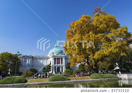 Ueno Park yellow leaves and museum Ueno Park yellow leaves and museum 35731510