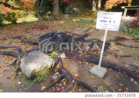 Shinshu Higashi-Chikuma-gun, Chikuhoku district A cultural stone of Manko-ji Temple 35731678